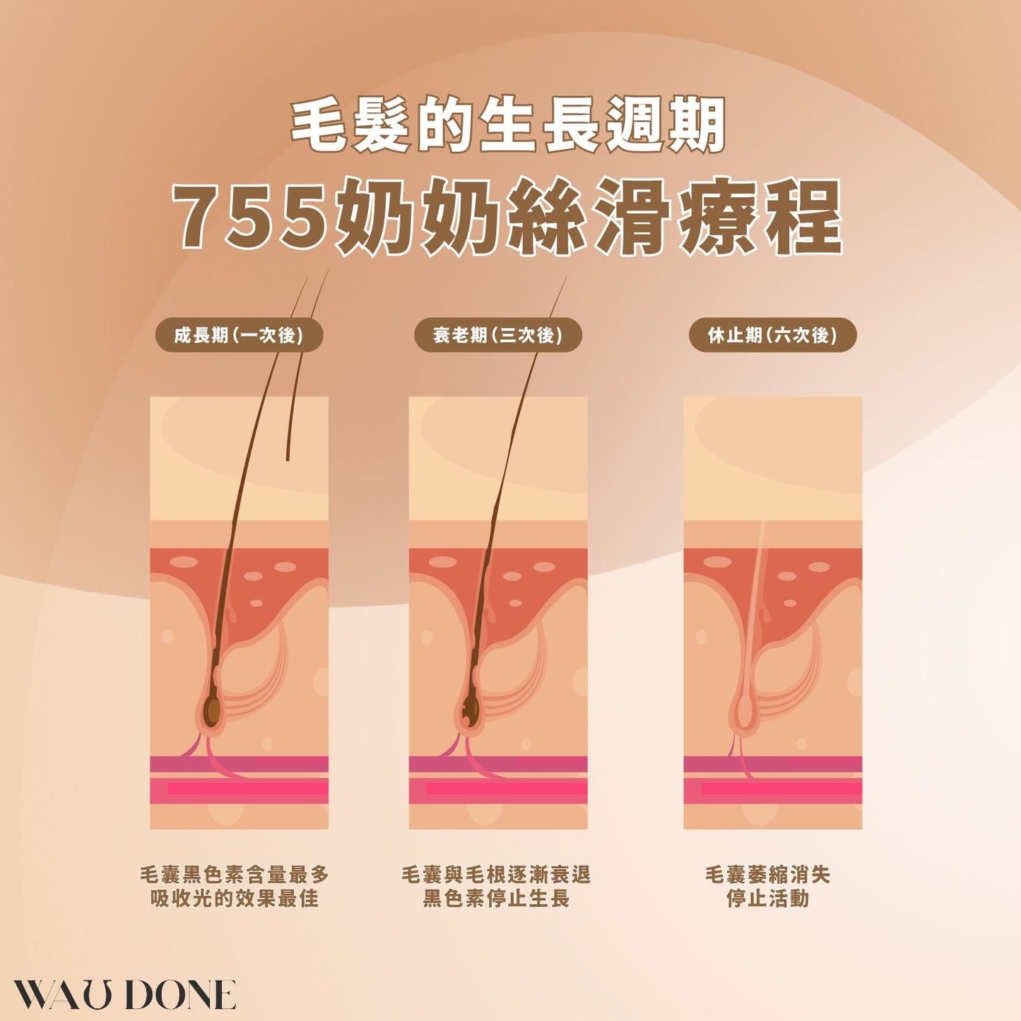 755奶奶絲滑療程 (優惠)