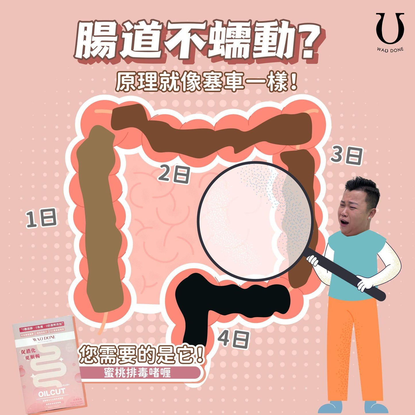水蜜桃刮油排便啫喱15條裝(初級版）到期日:28/8/2026