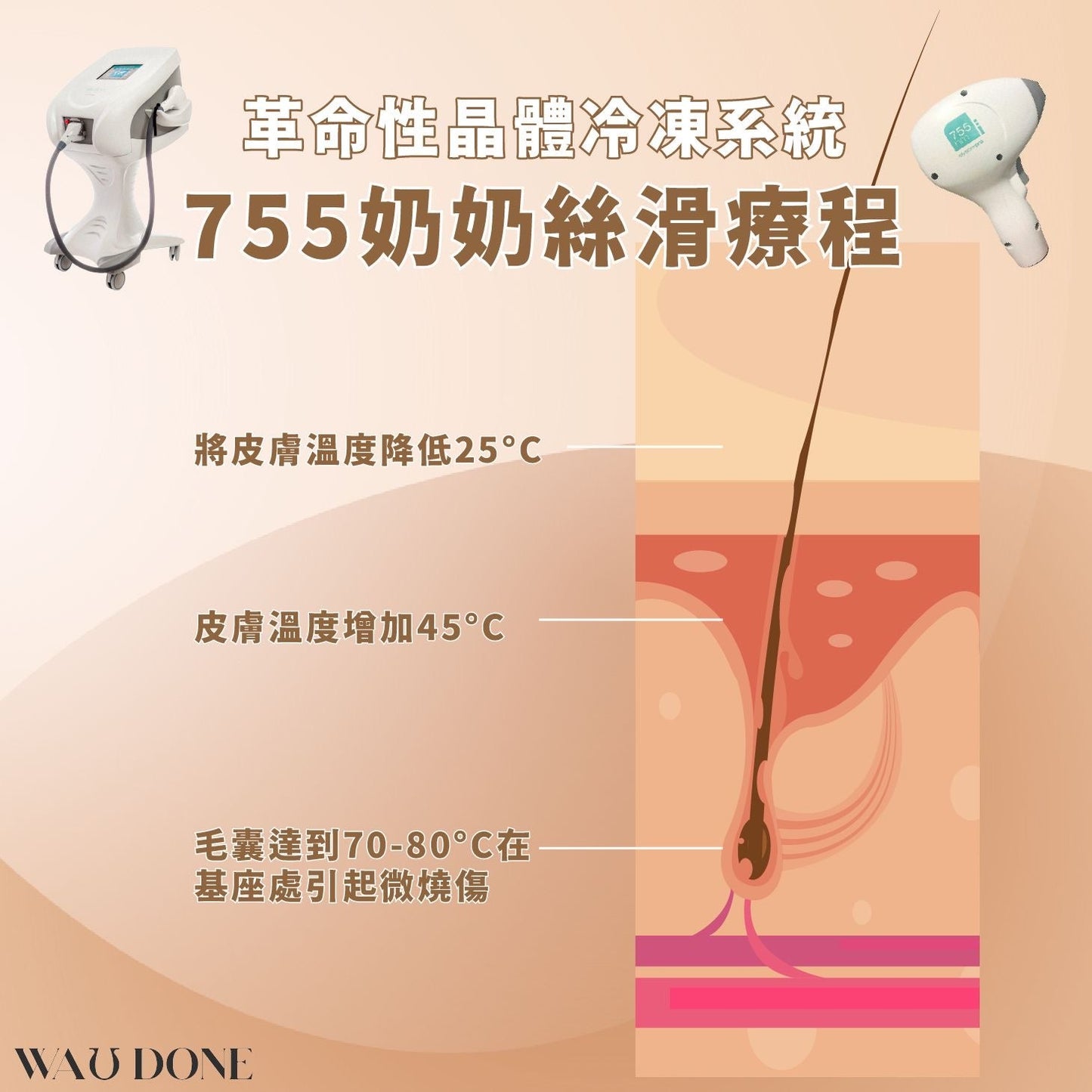 755奶奶絲滑療程 (優惠)